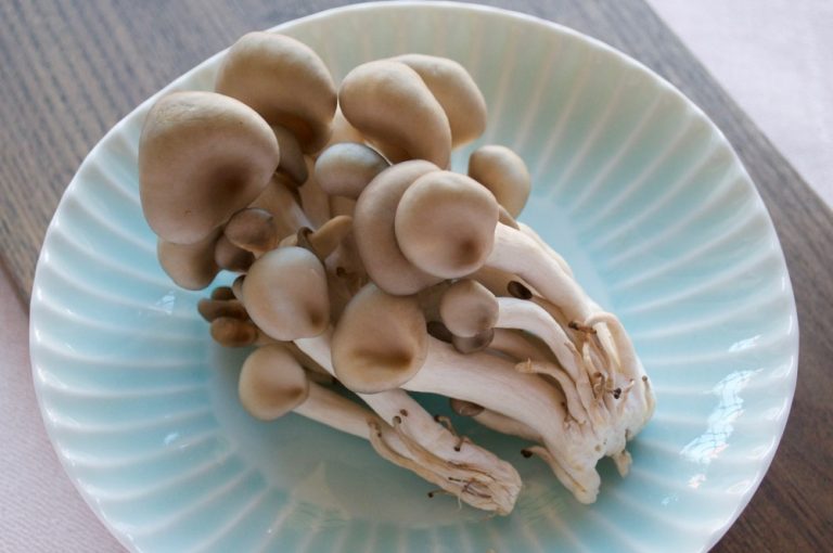 Shimeji Gohan (Rice with Shimeji Mushrooms) RecipeTin Japan