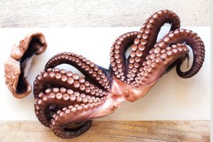 Boiled octopus