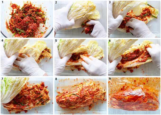 Step-by-step photo of marinating Chinese cabbage to make kimchi.