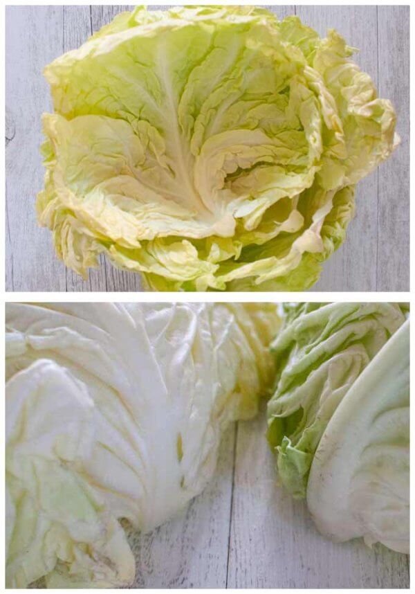 Cabbage Rolls Japanese Style RecipeTin Japan