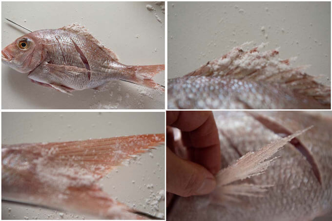 Step-by-step photos of decorating fins with salt (keshōjio).