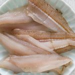 Semi-dried Whiting Fillets on a plate.