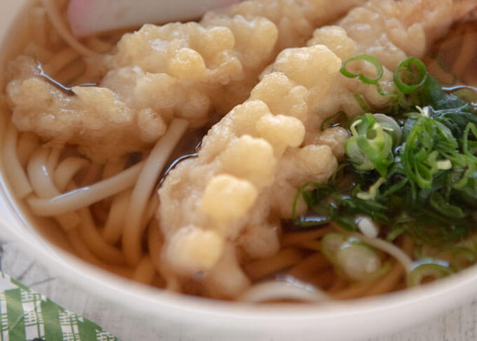 Zoomed-in photo of Tempura Udon showing broth.