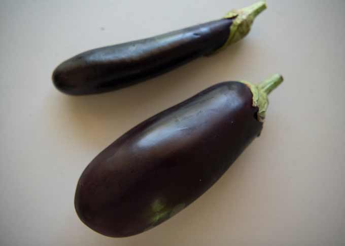 Thin long eggplant and large Aussie standard/American eggplant.