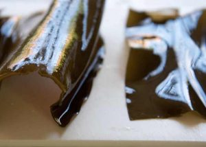 Comparing two diligent kinds of konbu.