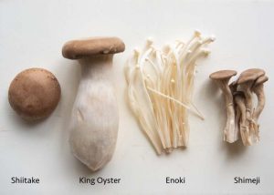 4 kinds of Asian mushrooms.