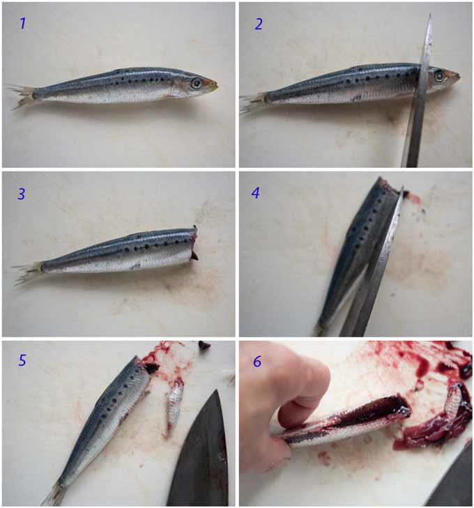 Sowing how to clean sardines.