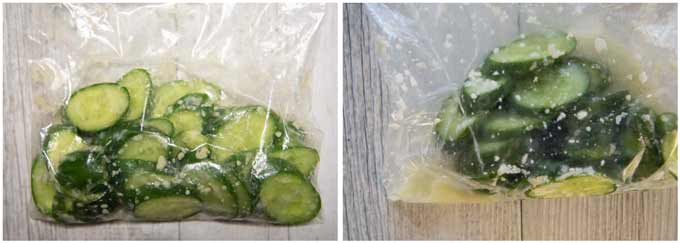 Before and after pickling the cucumbers in a zip lock bag.