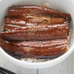 Hero shot of Unadon.