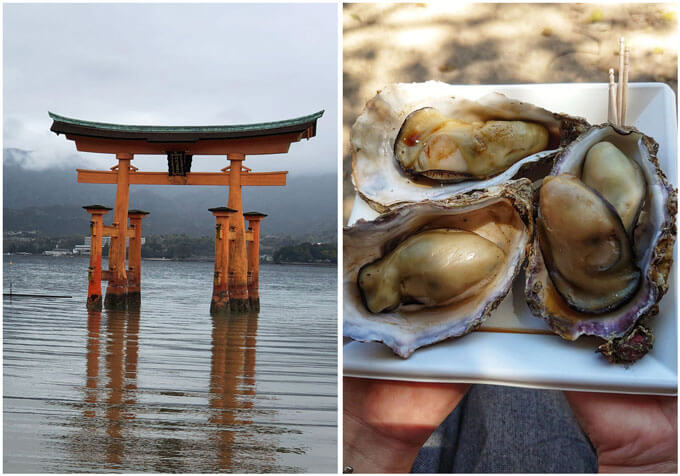 Floating torii and grilled oysters in shell.