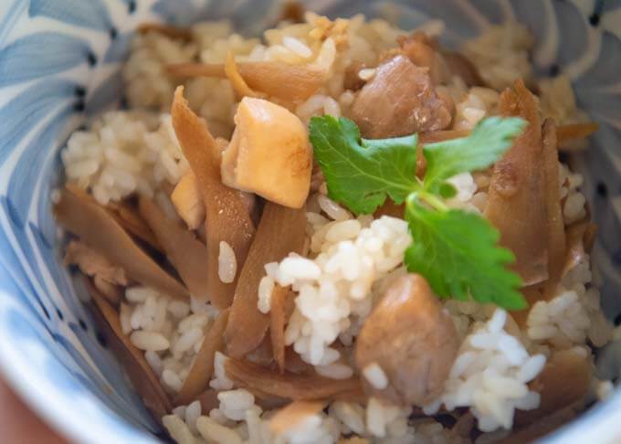 Zoomed-in photo of Mixed rice with Chicken and Burdock (Tori Meshi).