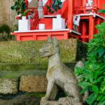 A statue of fox at inari shrine.