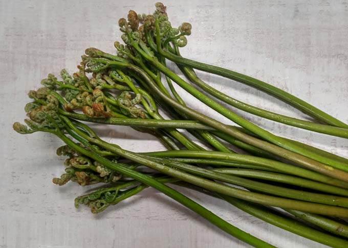 A bunch of warabi (bracken shoots). 