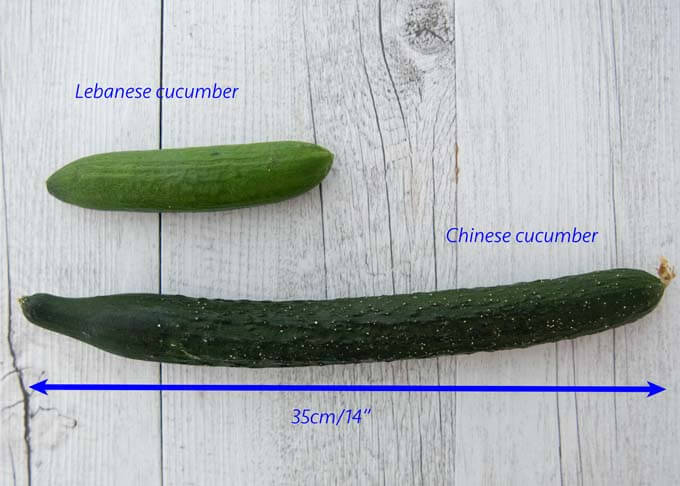Comparing Chinese cucumber and Lebanese cucumber.
