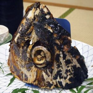 Grilled whole tuna head served at a restaurant in Yaizu port city, Shizuoka prefecture.