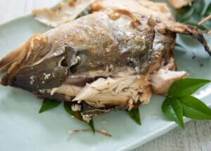 Showing the chunk of meat at the top of the head of the grilled kingfish.