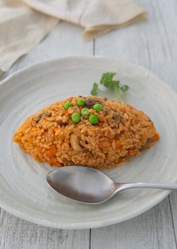 Japanese_Chicken_Rice_9586 RecipeTin Japan