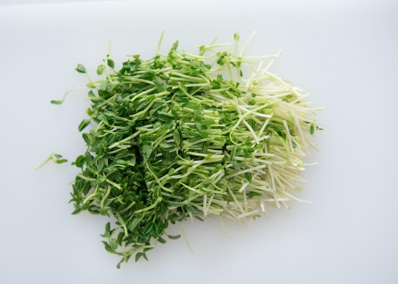 Snow pea sprouts cut into small pieces.