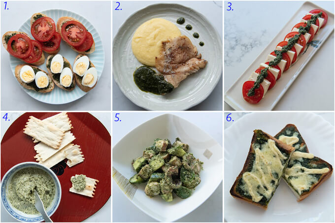 6 different dishes using Shiso Pesto.