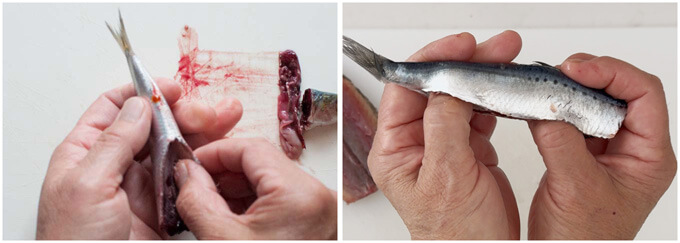 Two ways of filleting sardine.